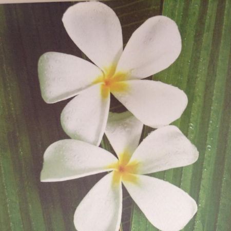 Te Moana Bed & Breakfast Bed & Breakfast Waikanae Ngoại thất bức ảnh